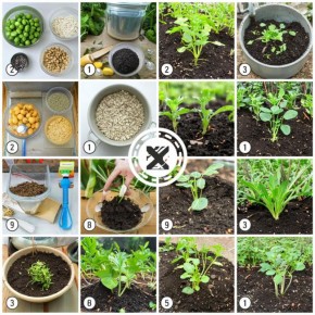 ���������������� ���������: ������ ������ ������ � �������� �����