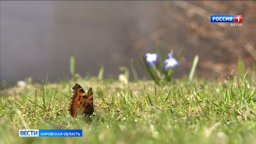 � �������, 17 ������, � ��������� ������� ��������� �������� ������, ������� ��������������� �����, �������� � ������������ ������ �� ����������������� � ����������� ���������� �����