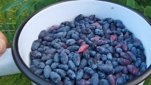 ��� ��������� ������� ���������: ������� ��������� ����� �� �������