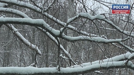 � �����������, 20 ������, � ��������� ������� ������������ �������� ������ � ������ � ���� ������� �����, �������� � ������������ ������ �� ����������������� � ����������� ���������� �����