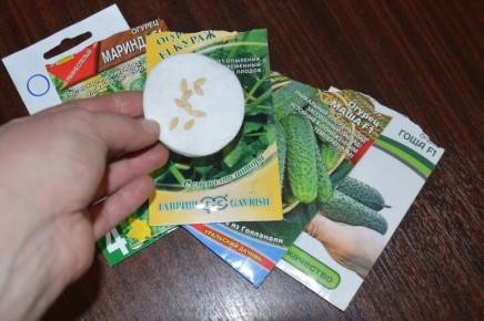 ��� ��������� ������� ������ �� �������: ��� �� �����