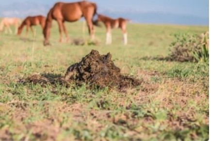 ��� ���������� ������� �������� � ��������� ��� �� ����� ��� ������