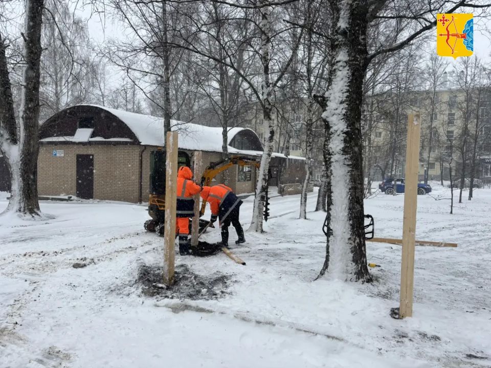 В Кирове началась подготовка к созданию Аллеи Славы у ОДНТ