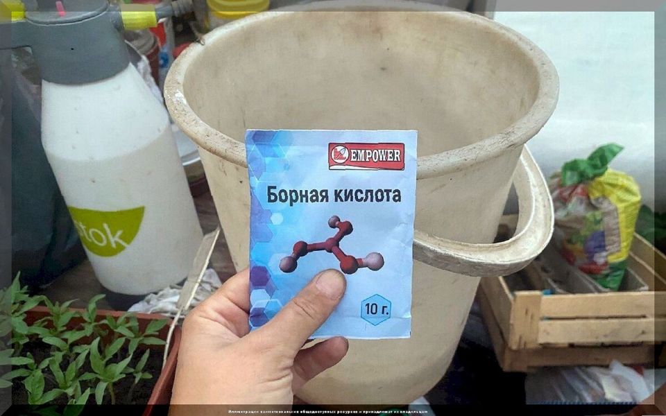��� ��������� ������������� �������� ������ �������� ��� �������� � �����������