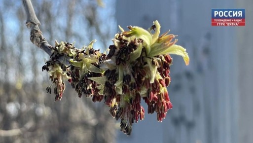 � �������, 24 ������, � ��������� ������� ������������ �������� ������ ��� ������������ �������, �� �������� �����, �������� � ������������ ������ �� ����������������� � ����������� ���������� �����