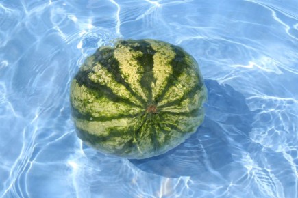 ������� �������� ���������� �������