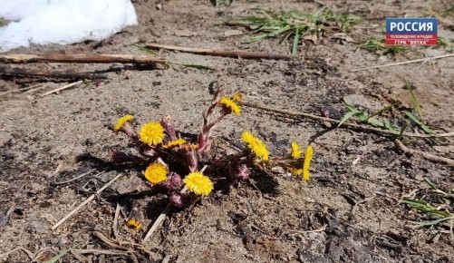 � �������, 25 ������, � ��������� ������� ��������� �������� ������ � �����, �������� � ������������ ������ �� ����������������� � ����������� ���������� �����