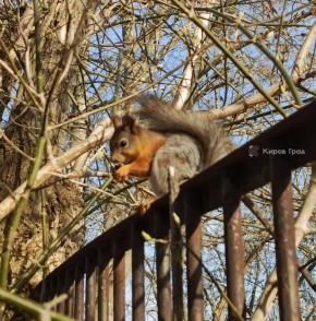 ����� ��������� � ������ ������� ��������� ������ ���������� � ������