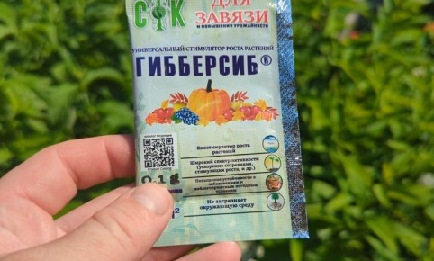 ������ ��������� ������: ��� ��������� ����������� ��� ���������� �������