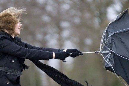 ��������: ������� �����. �� ������ ���������� ����, ������� ������� � ��������� ������� ��������� ����� � �������� 15-20 �/�