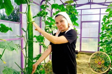 #��������������. � ����� �������� ������ �������� ���������� �������� �� ������ ����� ���������