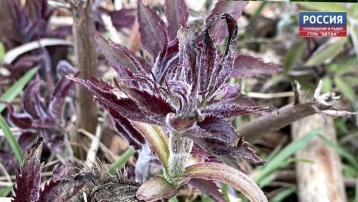 �� ������� � ��������� ������� ������������ �������� ������: ���� ��������� �����, ����� ����� �� ������, �������� � ������������ ������ �� ����������������� � ����������� ���������� �����