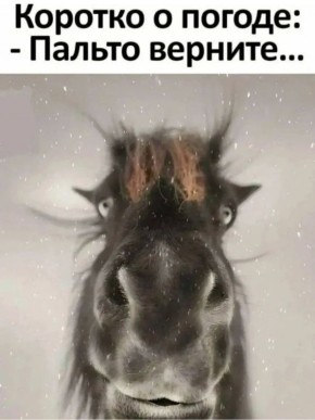 #��������