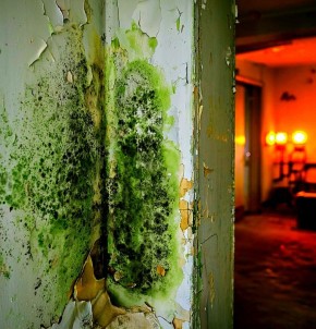 ��� ���������� �� ������� �� ������: �������� ������