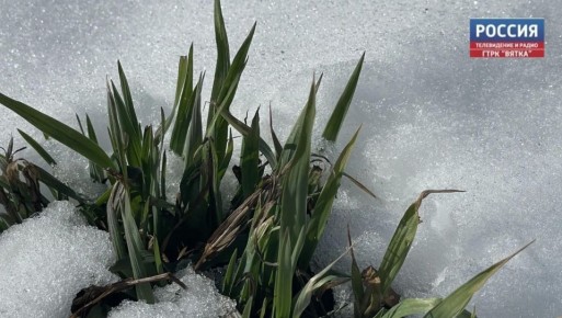 � �����, 29 ������, � ��������� ������� ������������ �������� ������, ��������� ����� �� ������, �������� � ������������ ������ �� ����������������� � ����������� ���������� ����� �������