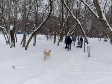 ��������� ����, ���������� �����������