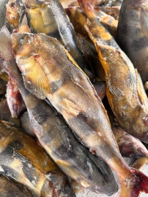 ������ ����� ������� � �����: ��� ������ ����� ����