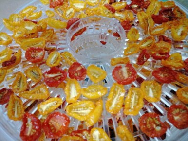 ������� ��������: ��� ��������� ���� ���� �� ����