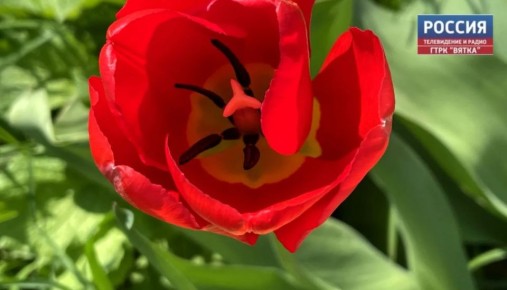 � ���������� ���������� ������� ������ ��������