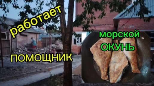 �������� ������ ����� �� ���������