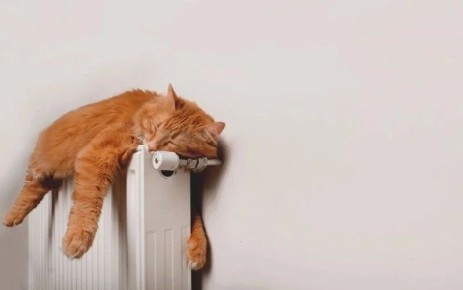 ������������ ����� � ������ ����������