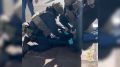 � ������ ��������� ���� ������, ������������� � ������� ����������