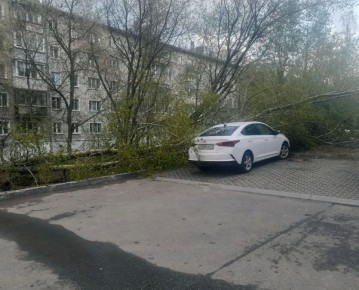 ������������ ����������� ��������� ������ ������� ���� ��������