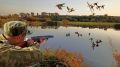 ������ ������? ���������!. � ��������� ������� ����������� �������� ����� �� �������� ����