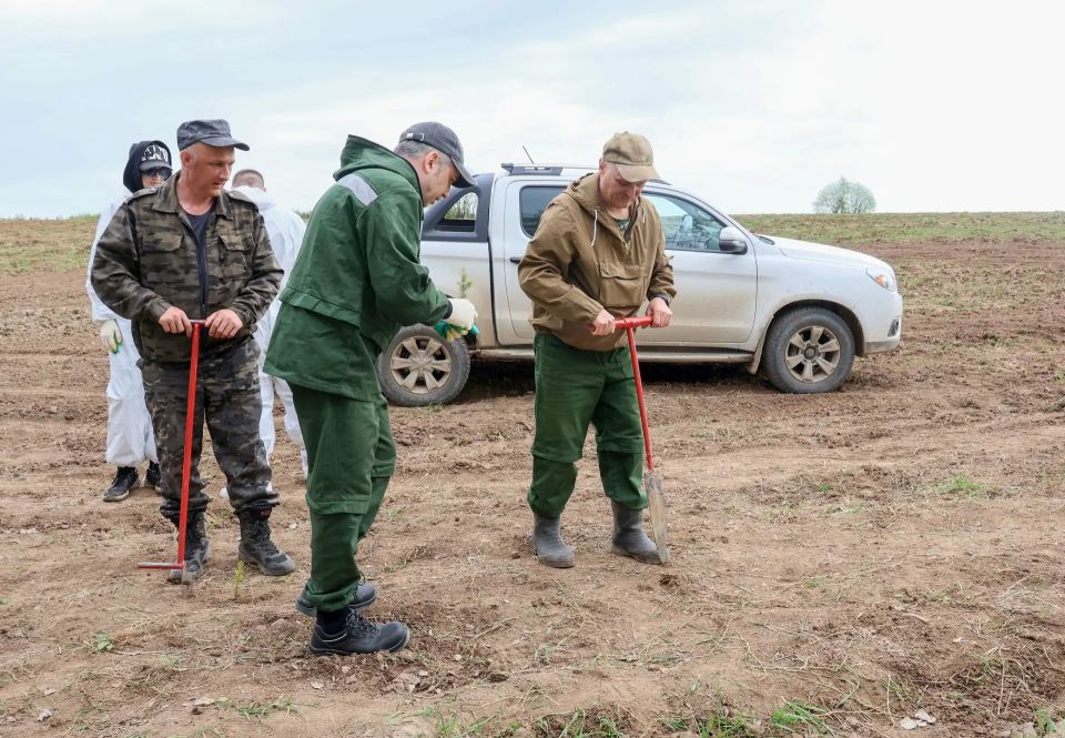 Студенты Вятского ГАТУ помогли в посадке саженцев Студенты Вятского ГАТУ помогли в посадке саженцев
