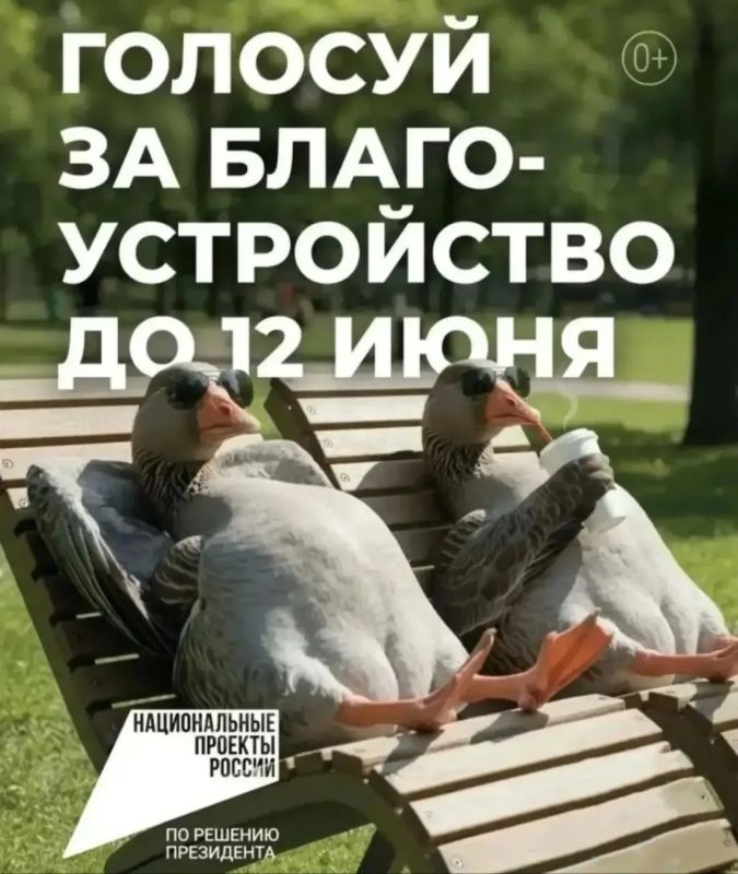 Кировчане стали пассивнее голосовать за благоустройство