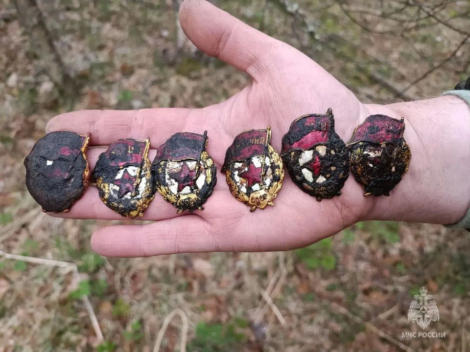 Поисковики из Юрьи подняли останки земляка Поисковики из Юрьи подняли останки земляка