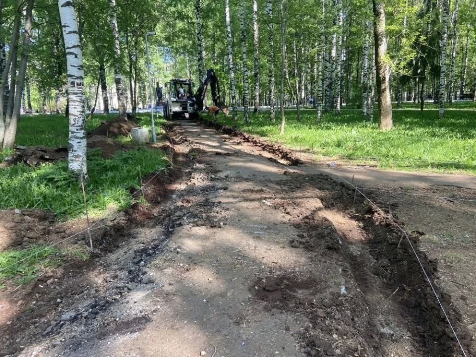 В парке Победы высадят 182 дерева и кустарника