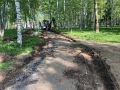 В парке Победы высадят 182 дерева и кустарника