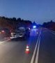 В Юрьянском районе водитель «Рено Логан» сбил лося