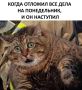 #шуткадня