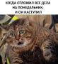 #шуткадня