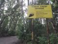 В Кирово-Чепецке начался ремонт автодорог