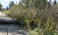 В Кировской области впервые меняют категорию участка через согласование с федерацией