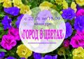 С 22 июня в центрах местной активности №№ 6, 7, 8 Октябрьского района стартует конкурс по озеленению придомовых территорий «Город в цветах»