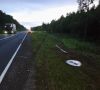 В Мурашинском районе водитель «Лады» погиб, врезавшись в дорожный знак