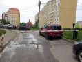 «Дворовый паразитизм» в Кирове