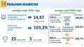Наталья Кряжева, министр экономического развития Кировской области: