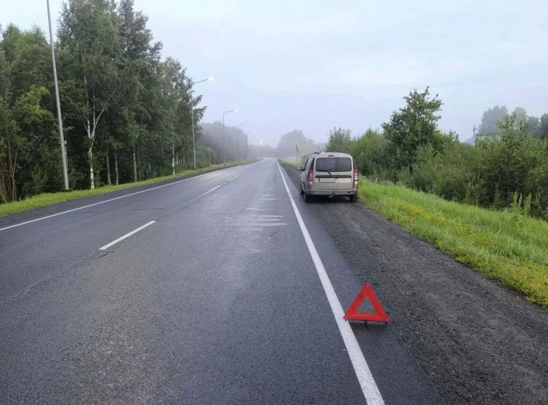 Насмерть сбили пешехода в Кировской области