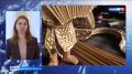 ��������� �������� � ��� �� ������ �������, � ����� ������� � ���������� �������� �������