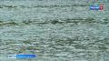 С начала лета на водоемах региона утонули 8 человек