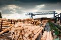 #лес #координация. Прокуратура Кировской области продолжает реализацию комплекса надзорных мер во исполнение законодательства, направленного на сбережение лесного фонда
