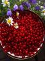 Приготовление варенья с красной смородиной: наслаждайтесь насыщенным вкусом