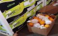В турецких апельсинах в Кирове нашли карантинного вредителя