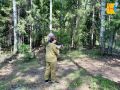 В лесах Кировской области убирают свалки