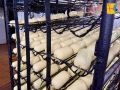 Завод по производству сыра «Янтарь» в Котельниче перевели на сетевой газ